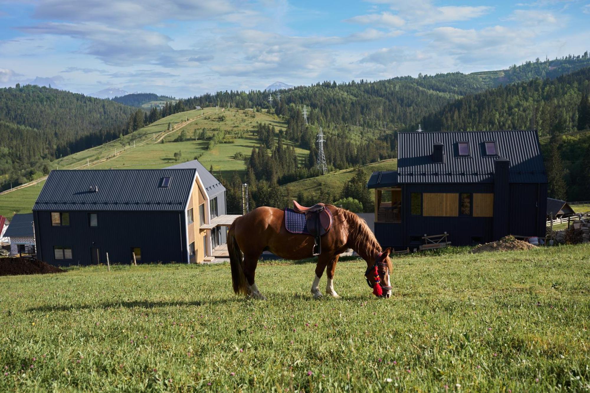 Шале Green Land Bukovel Exterior photo