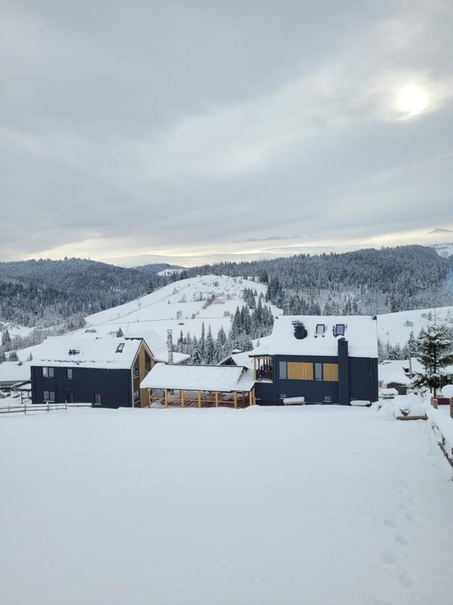 Шале Green Land Bukovel Exterior photo